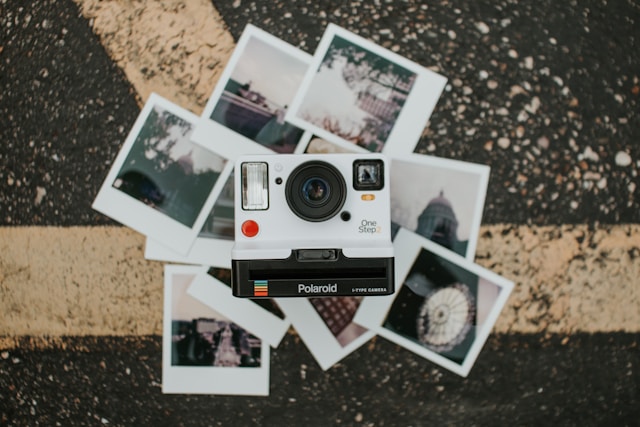 instagram-wyszukiwarka-seo-news